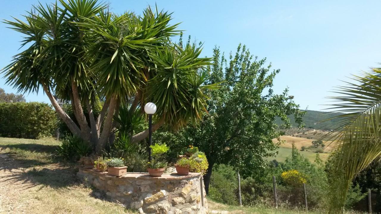 Podere Mammoleta Fattoria la Marsiliana ภายนอก รูปภาพ