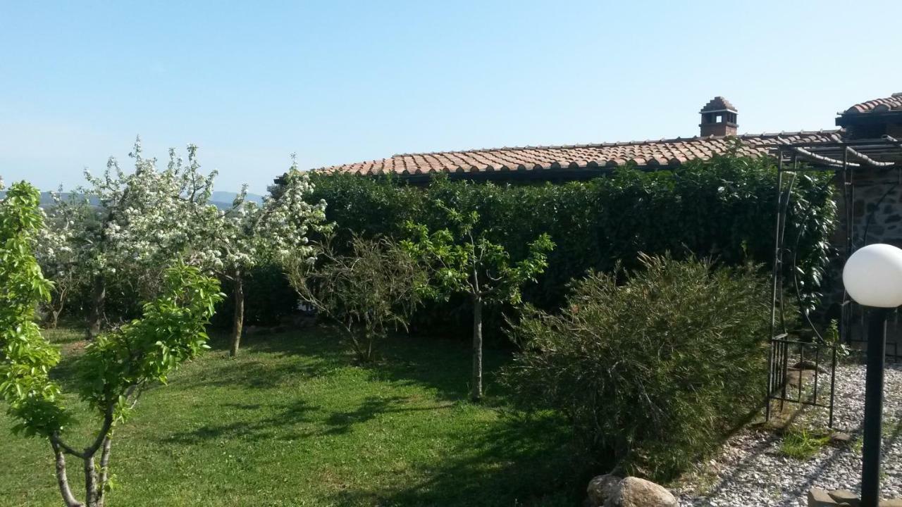 Podere Mammoleta Fattoria la Marsiliana ภายนอก รูปภาพ
