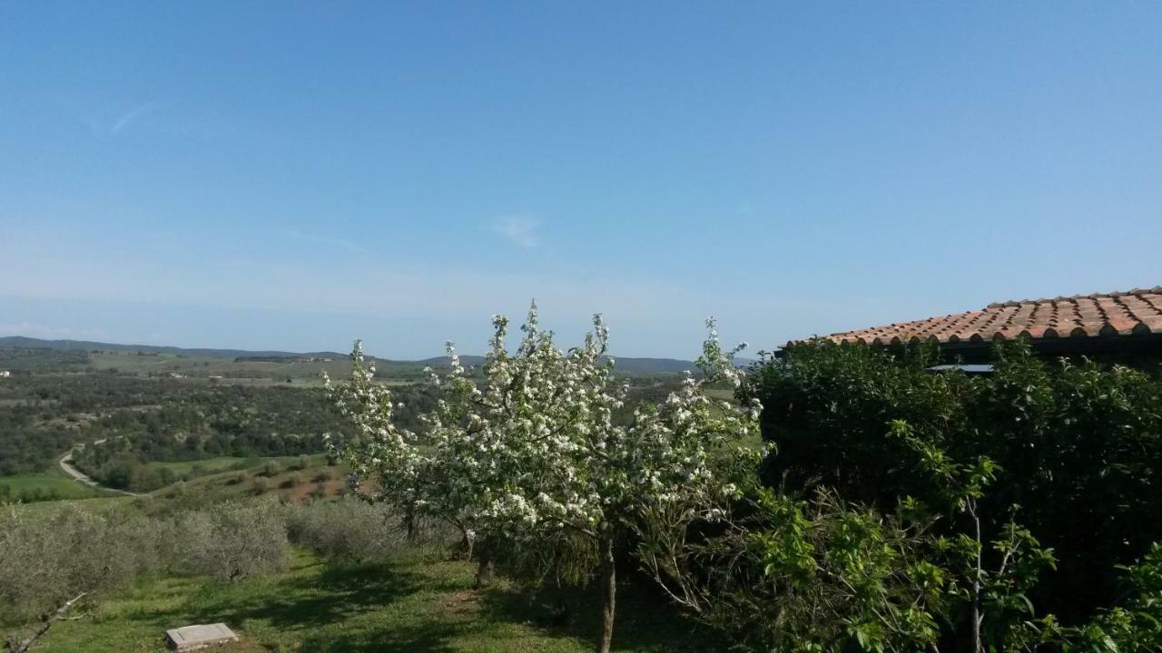 Podere Mammoleta Fattoria la Marsiliana ภายนอก รูปภาพ