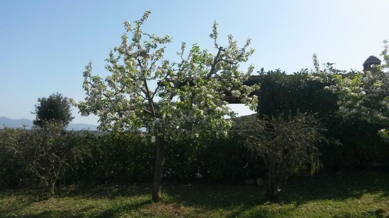 Podere Mammoleta Fattoria la Marsiliana ภายนอก รูปภาพ